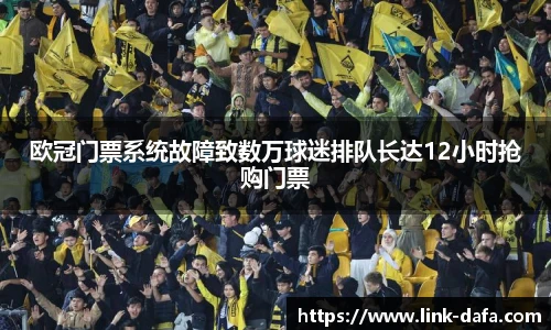 欧冠门票系统故障致数万球迷排队长达12小时抢购门票
